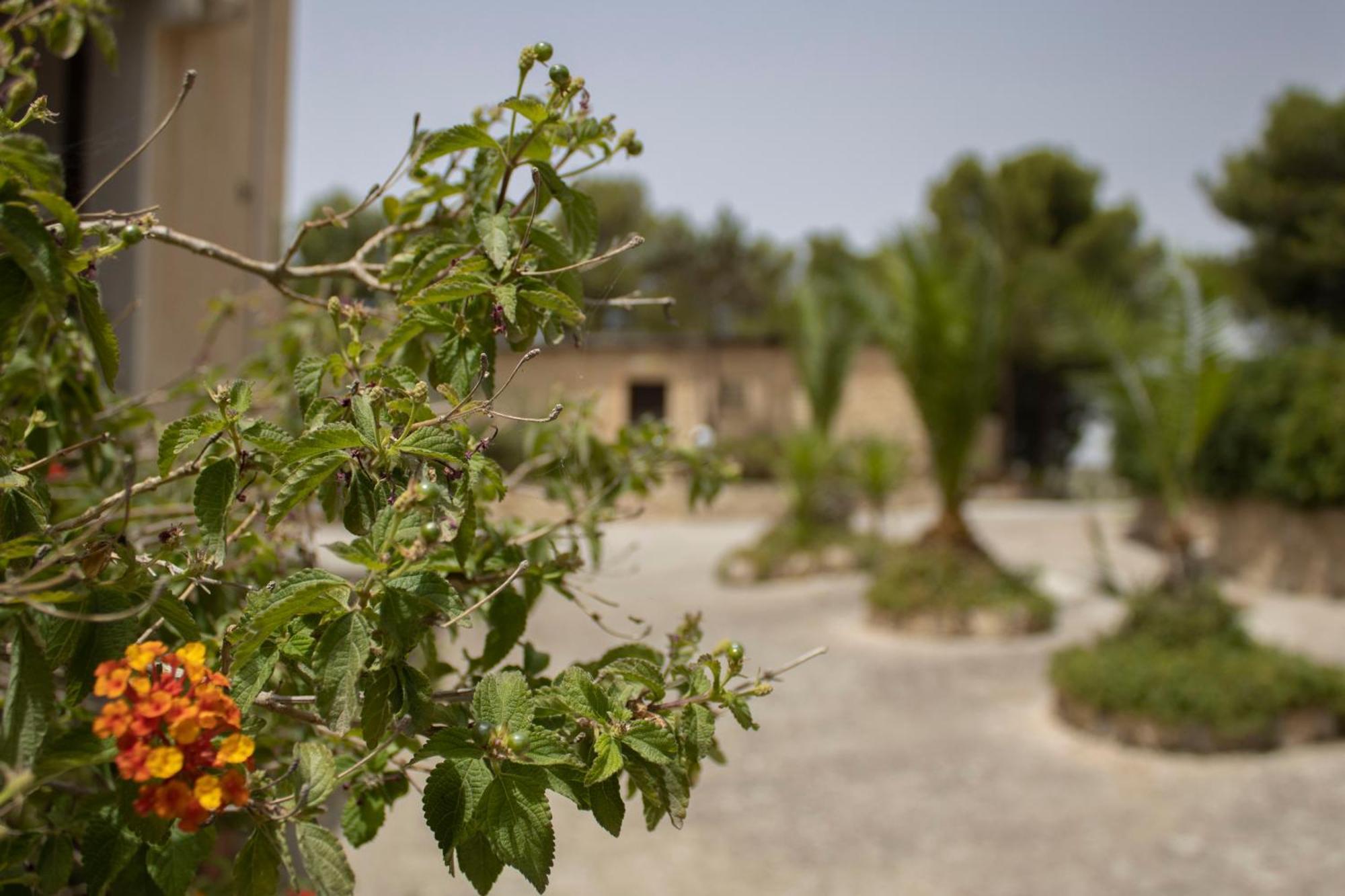 אגריג'נטו Agriturismo Bellajo - Ville Rustiche Con Piscina מראה חיצוני תמונה